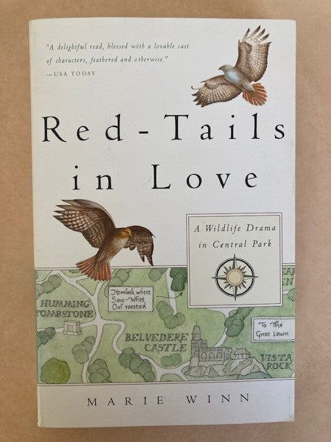 Red-Tails in Love: A Wildlife Drama in Central Park