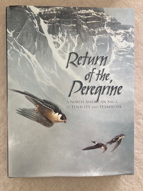 Return of the Peregrine: A North American Saga of Tenacity and Teamwork
