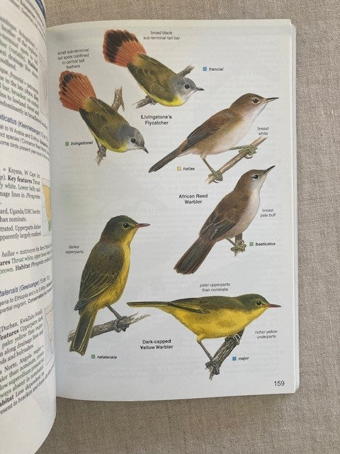 Roberts Geographic Variation of Southern African Birds