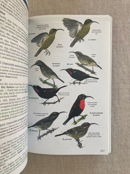 Roberts Geographic Variation of Southern African Birds