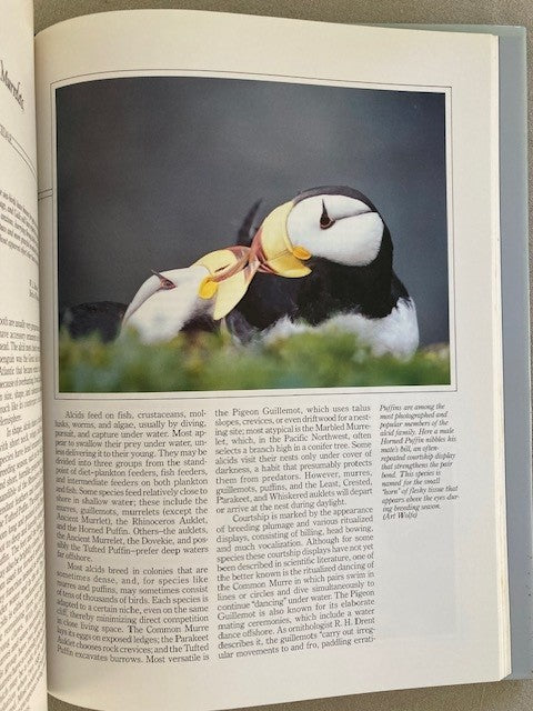 Seabirds of Eastern North Pacific and Arctic Waters