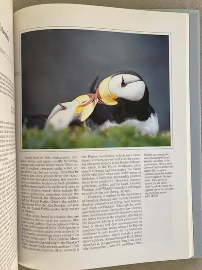 Seabirds of Eastern North Pacific and Arctic Waters