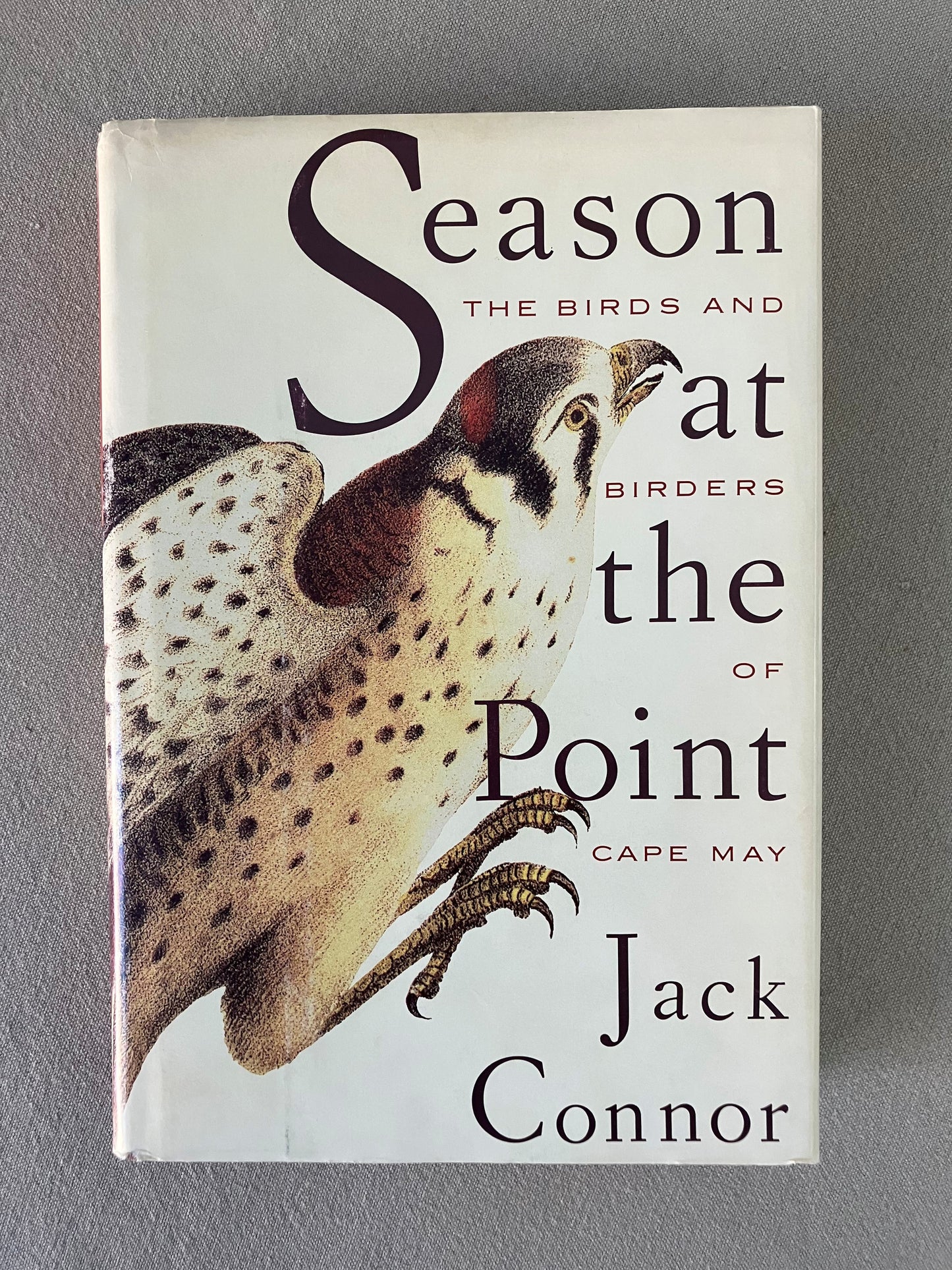 Season at the Point