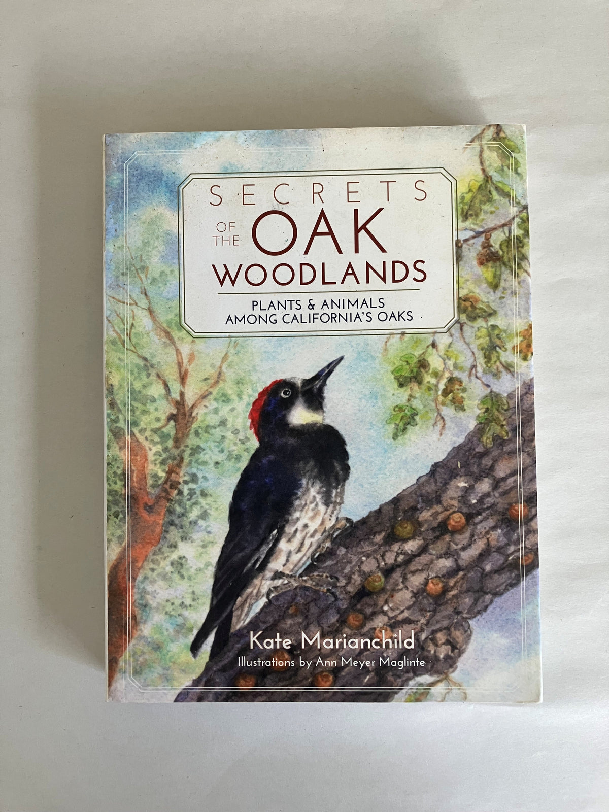 Secrets of the Oak Woodlands: Plants and Animals among California's Oaks