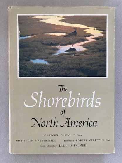 The Shorebirds of North America