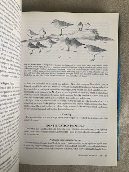 Shorebirds of the Pacific Northwest