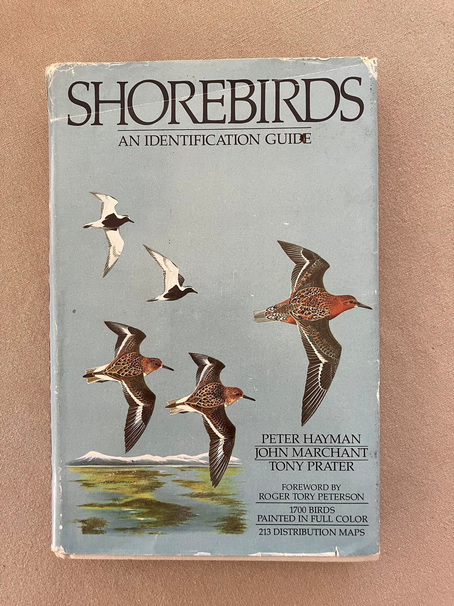 Shorebirds: An Identification Guide