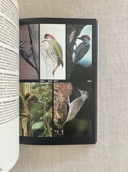 Ian Sinclair's Field Guide to the Birds of Southern Africa