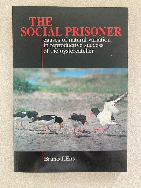 The Social Prisoner: causes of natural variation in reproductive success of the oystercatcher