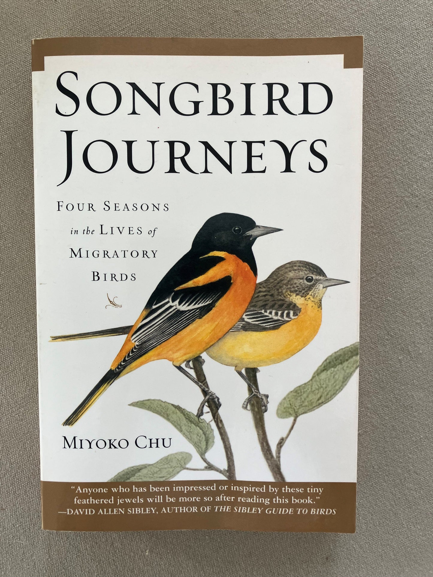 Songbird Journeys: Four Seasons In the Lives of Migratory Birds