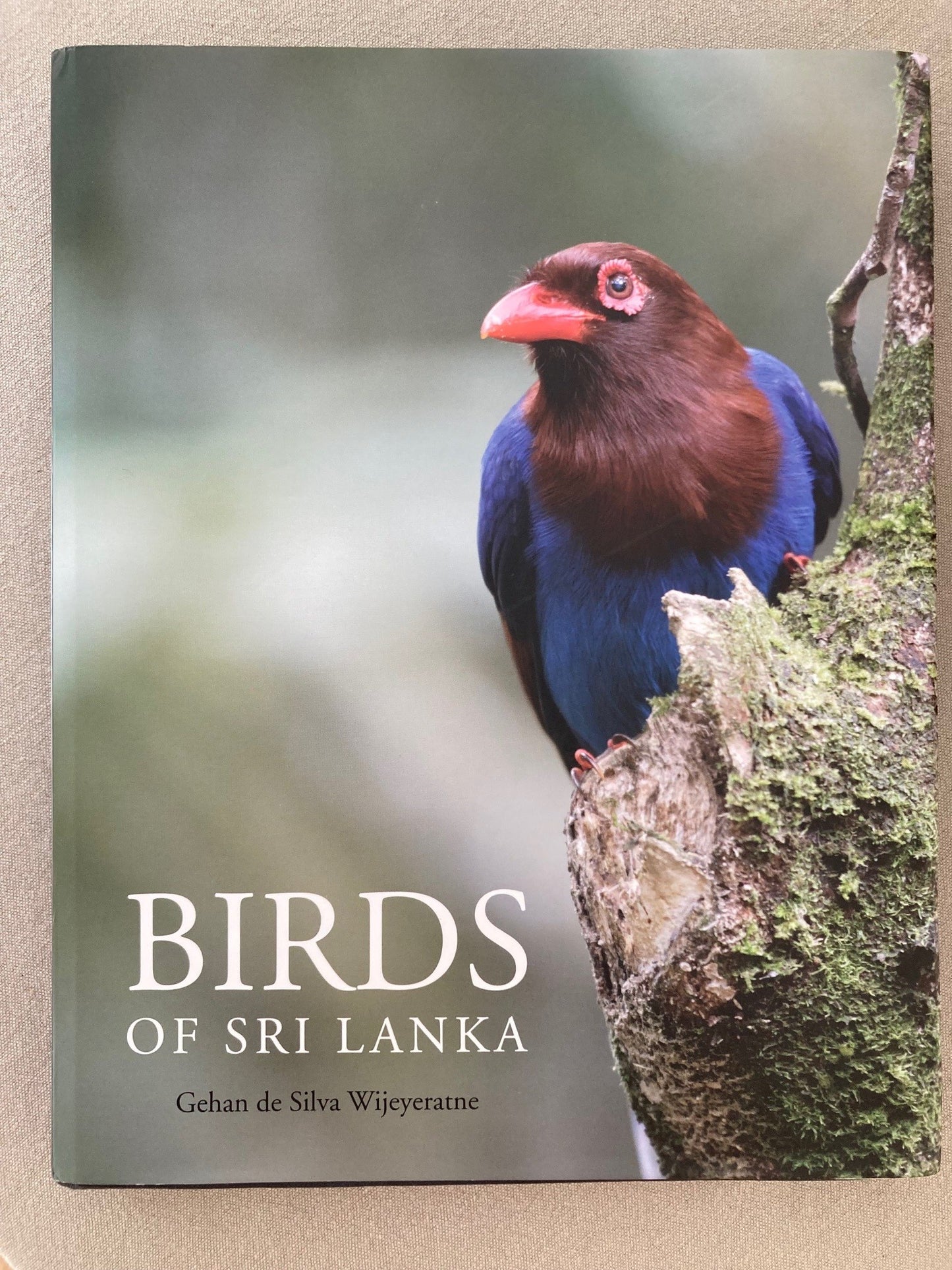 Birds of Sri Lanka