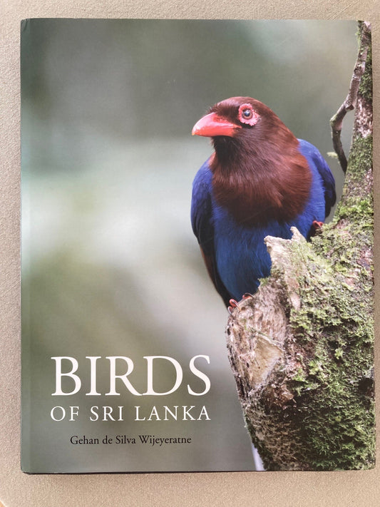 Birds of Sri Lanka