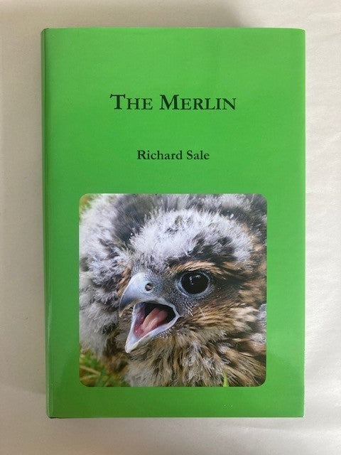 The Merlin [first edition]