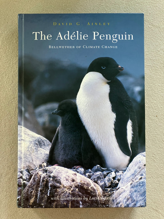 The Adélie Penguin