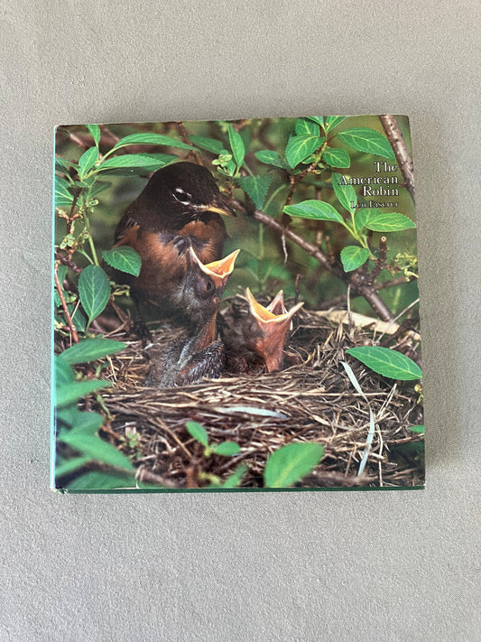 The American Robin: A Backyard Institution