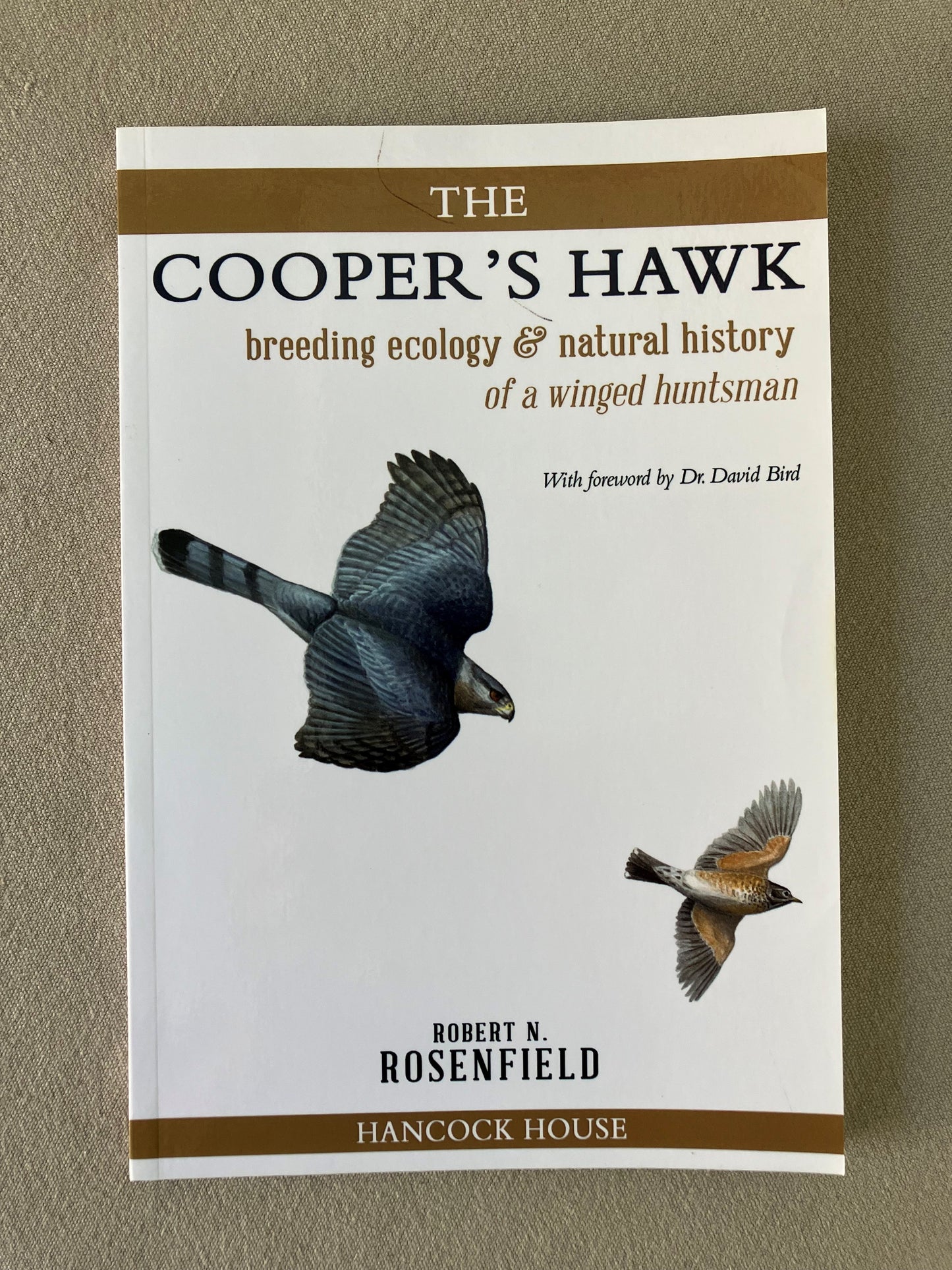 The Cooper's Hawk: Breeding Ecology & Natural History of a Winged Huntsman