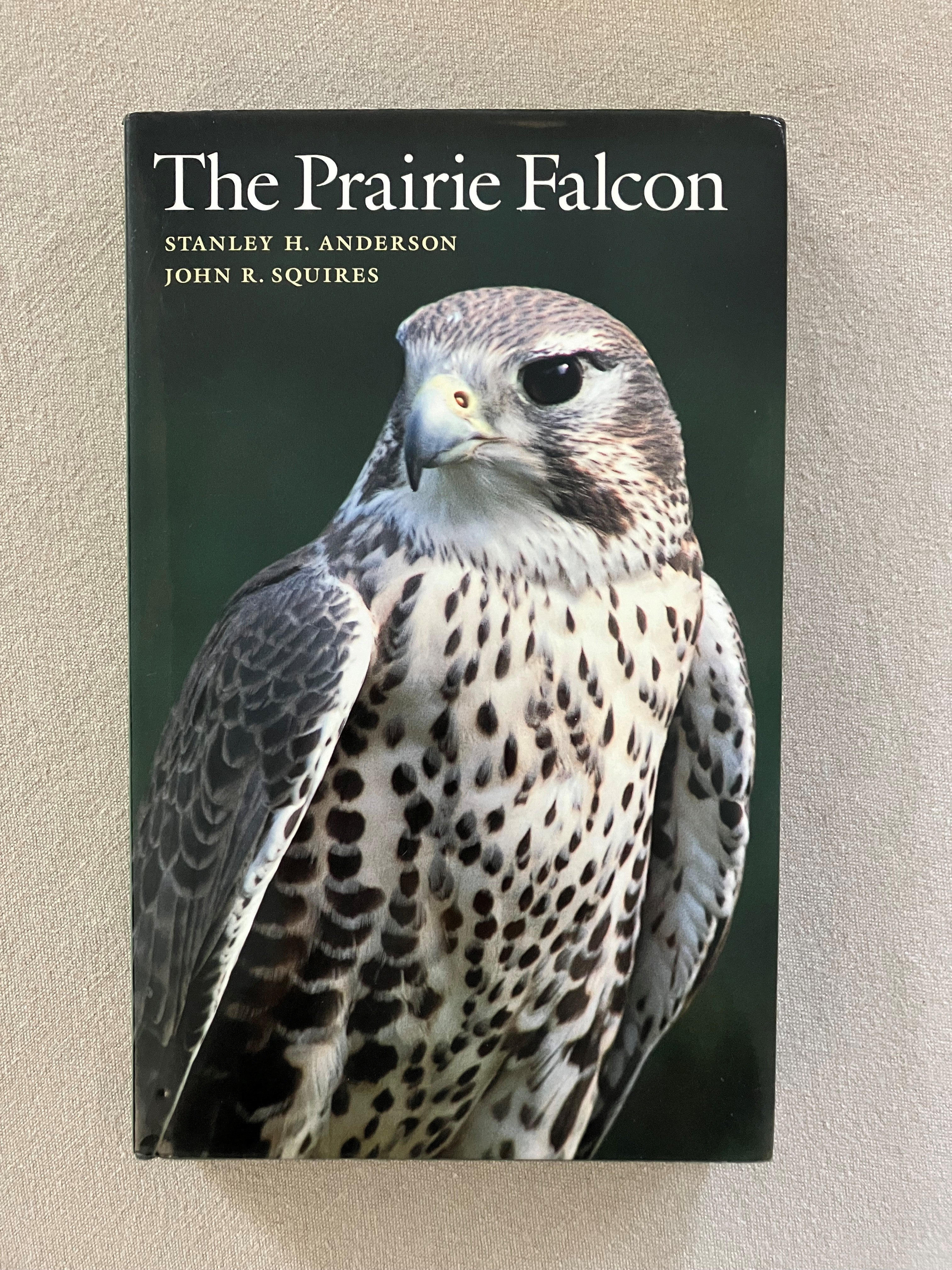 The Prairie Falcon – Buteo Books