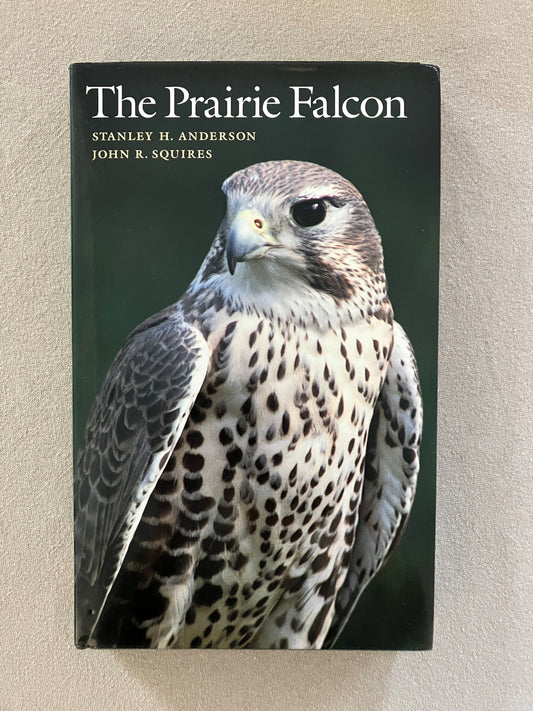 The Prairie Falcon