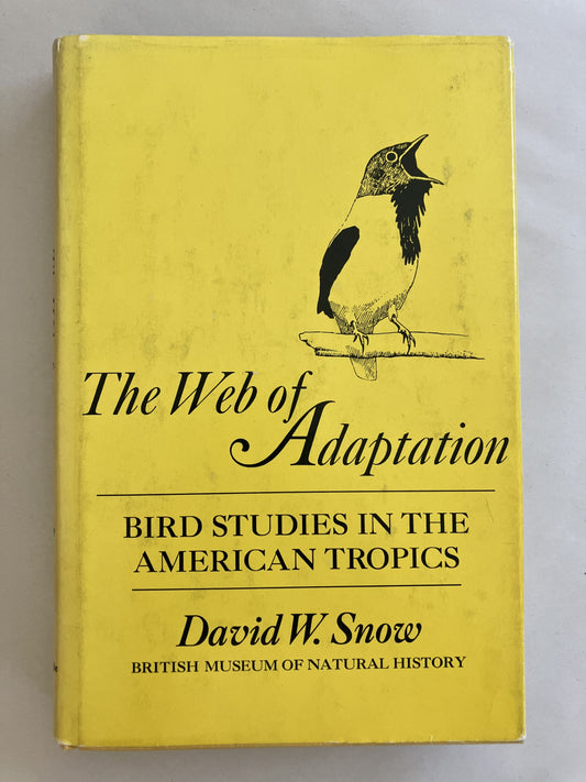 The Web of Adaptation