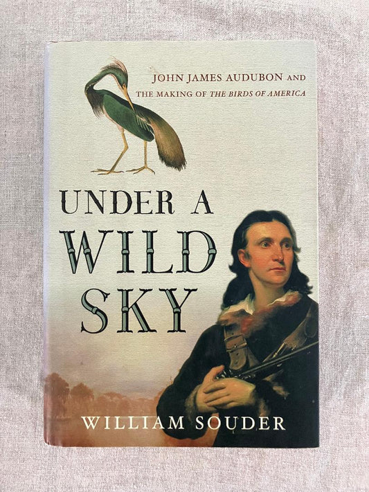 Under a Wild Sky