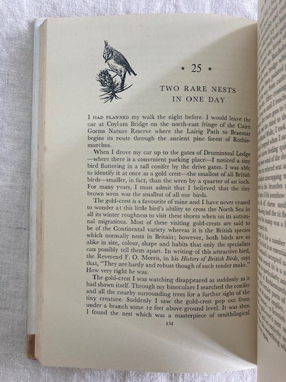 To Do With Birds
