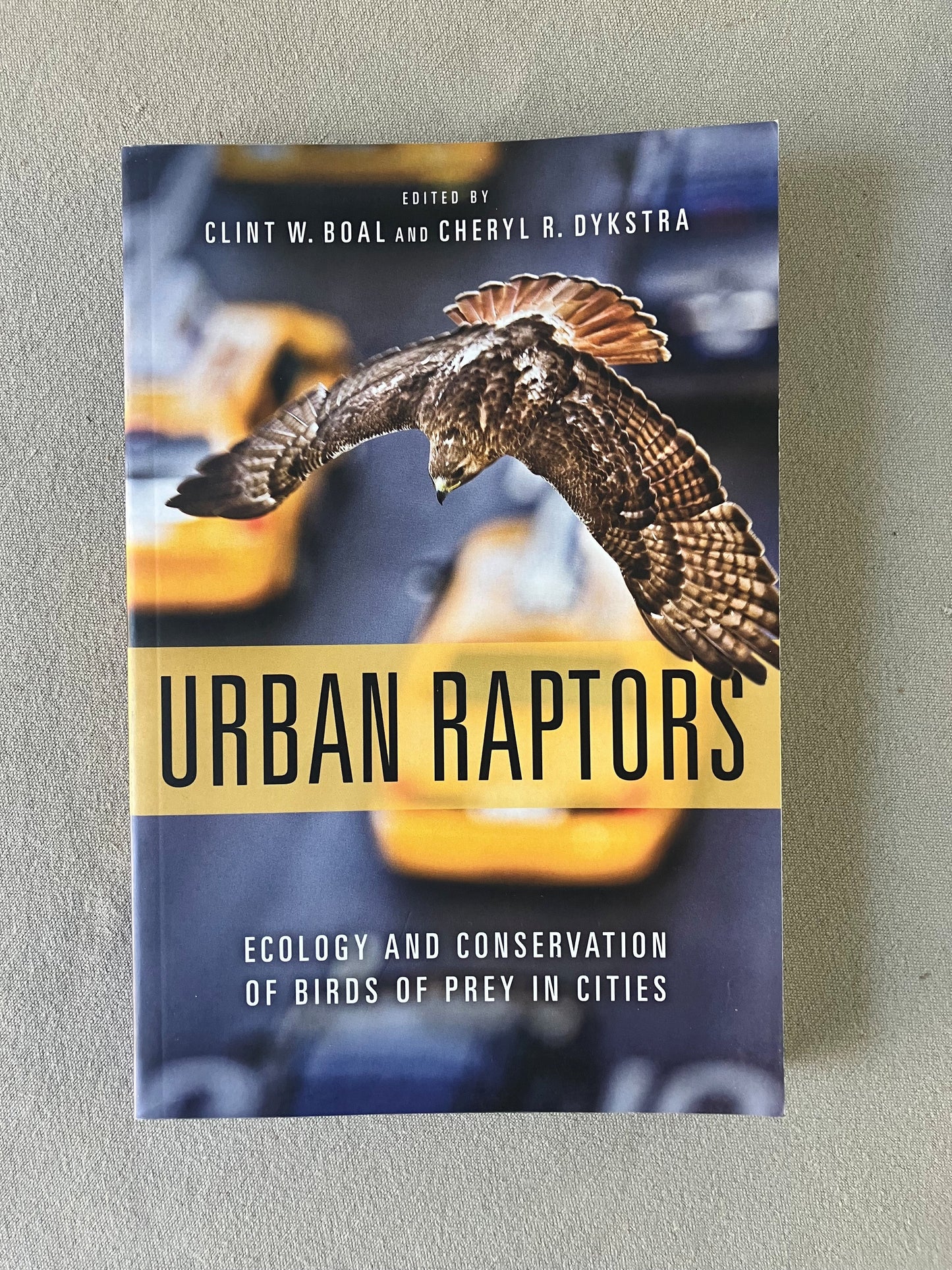 Urban Raptors: Ecology and Conservation of Birds of Prey in Cities