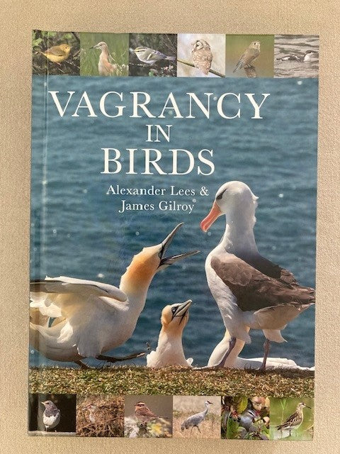 Vagrancy in Birds [used]