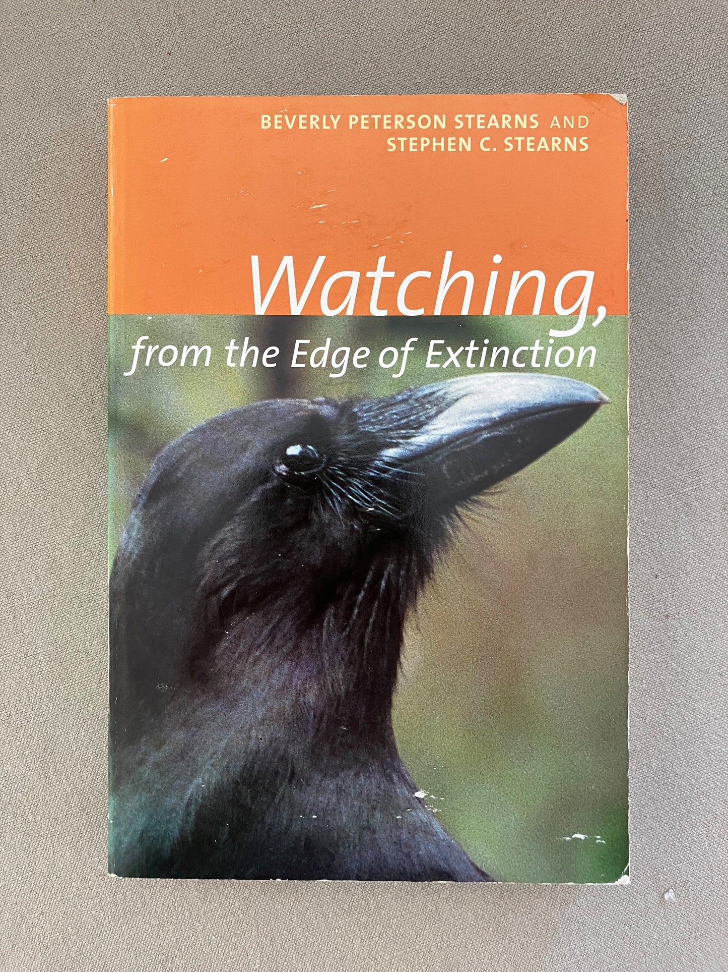 Watching, from the Edge of Extinction