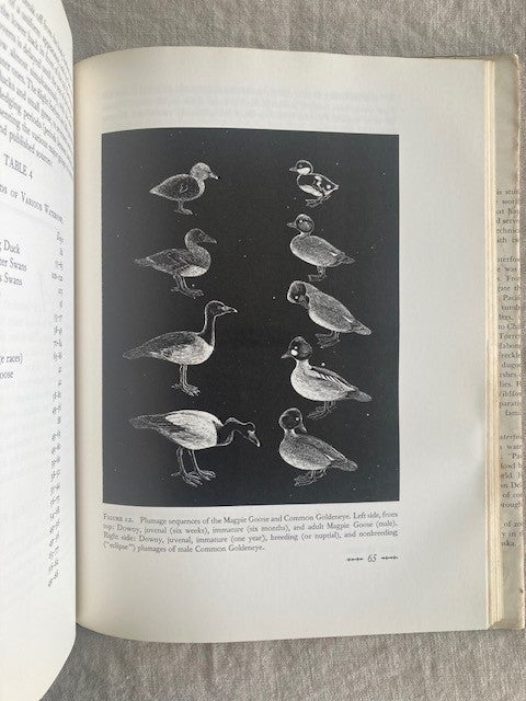 Waterfowl: Their Biology and Natural History