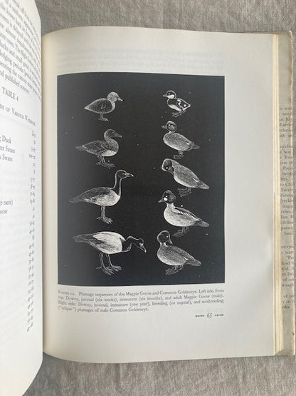 Waterfowl: Their Biology and Natural History