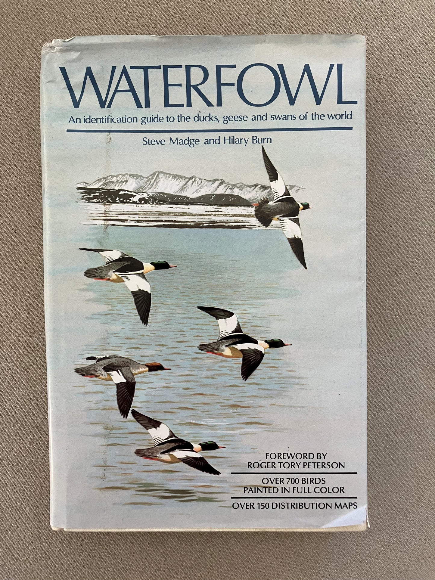 Waterfowl: An identification guide to the ducks, geese and swans of the world