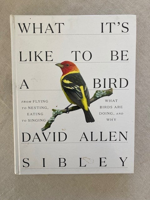 What It's Like to Be a Bird: From Flying to Nesting, Eating to Singing-What Birds Are Doing, and Why