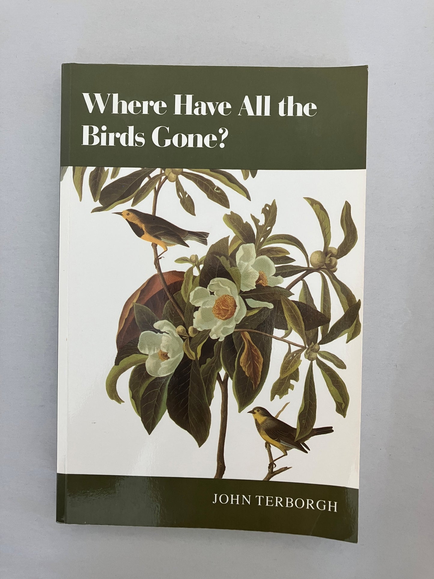 Where Have All the Birds Gone?: Essays on the Biology and Conservation of Birds That Migrate to the American Tropics [PB]