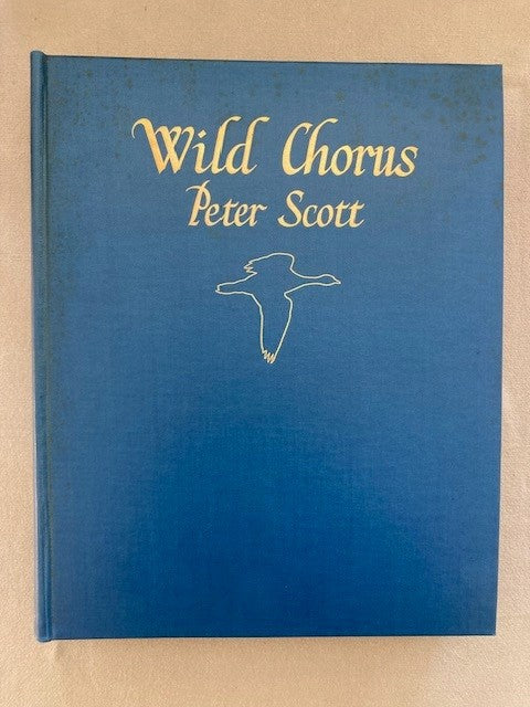 Wild Chorus