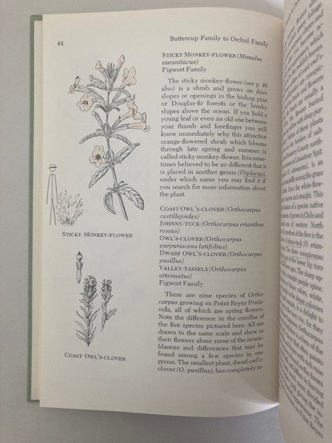 Flowers of Point Reyes National Seashore