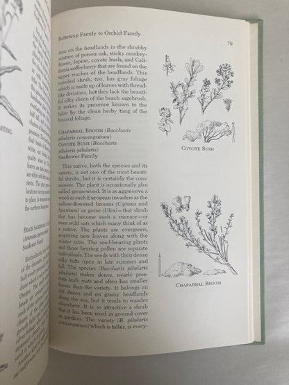 Flowers of Point Reyes National Seashore