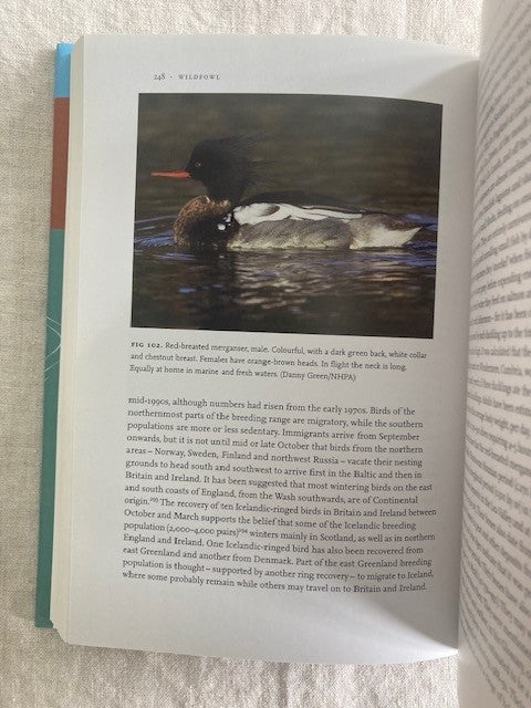 Wildfowl. New Naturalist 110