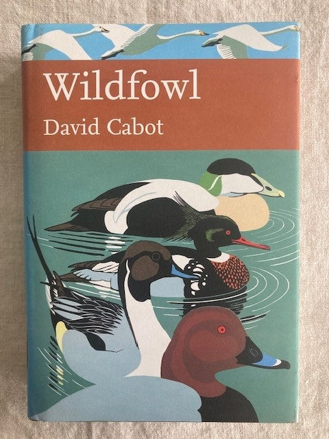 Wildfowl. New Naturalist 110