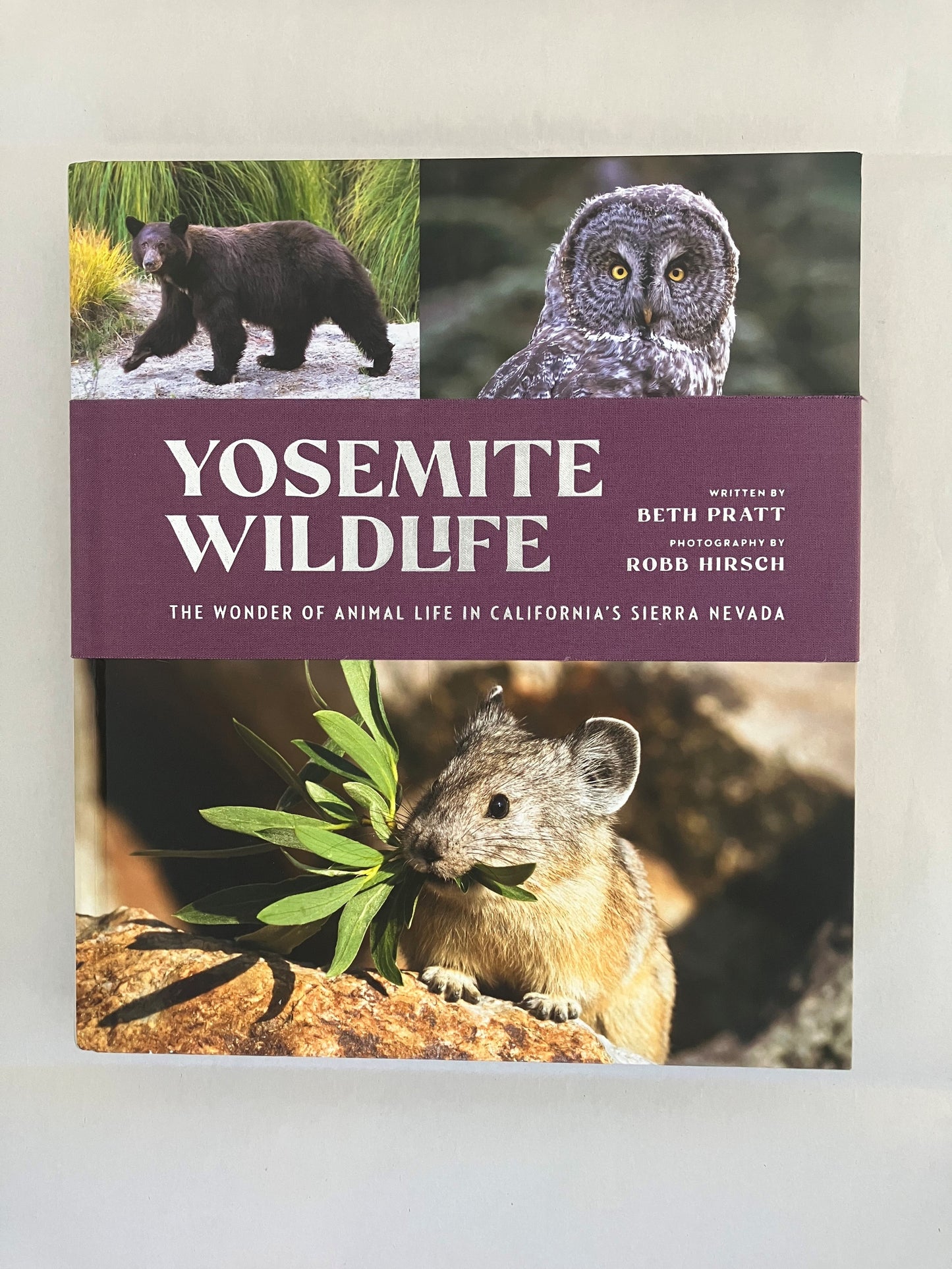 Yosemite Wildlife: The Wonder of Animal Life in California's Sierra Nevada