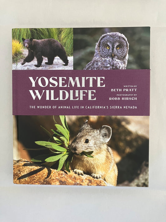 Yosemite Wildlife: The Wonder of Animal Life in California's Sierra Nevada